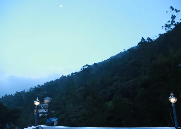 Lush Green-Homestay