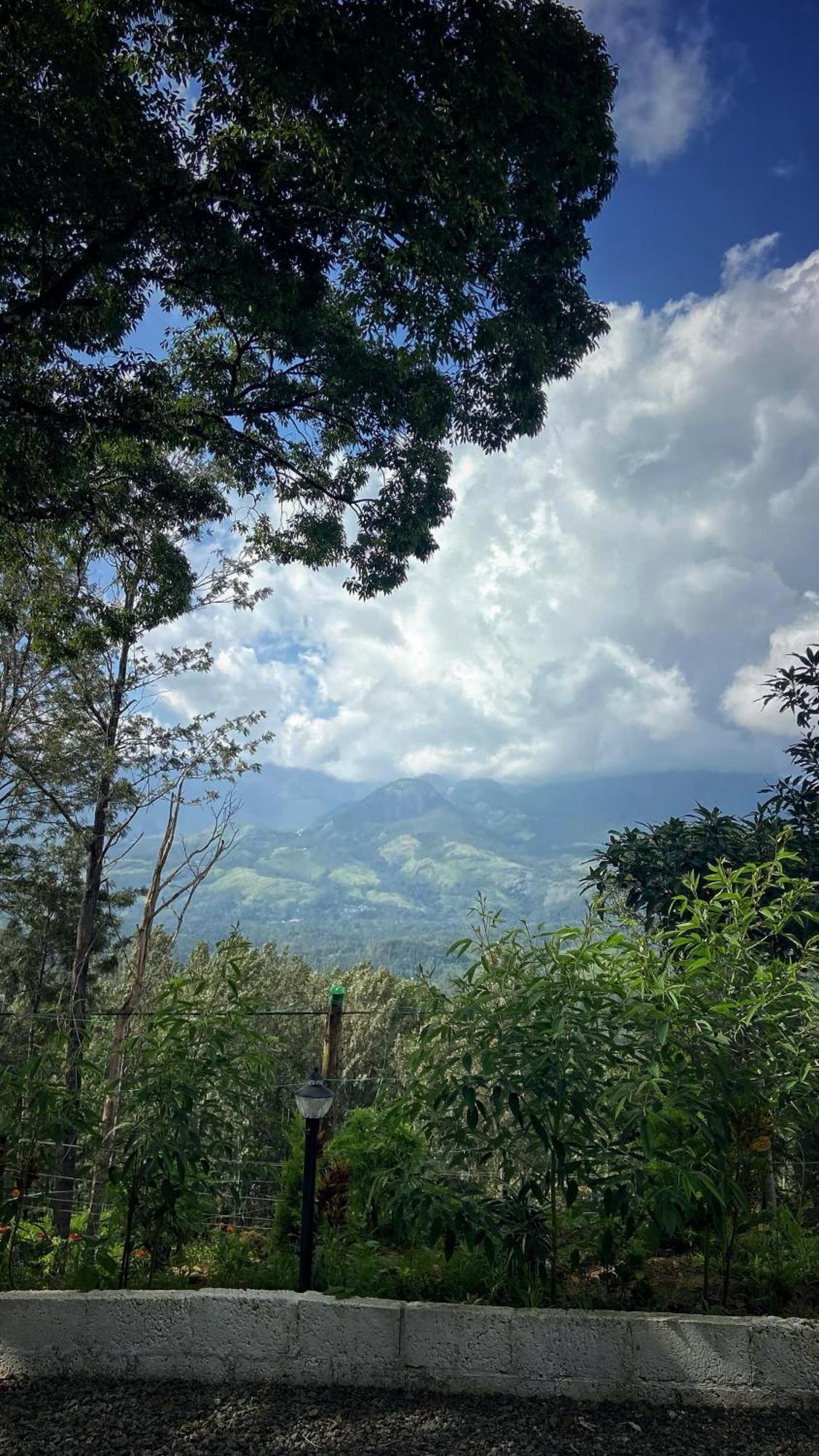 Homestay Lush Green-homestay *
